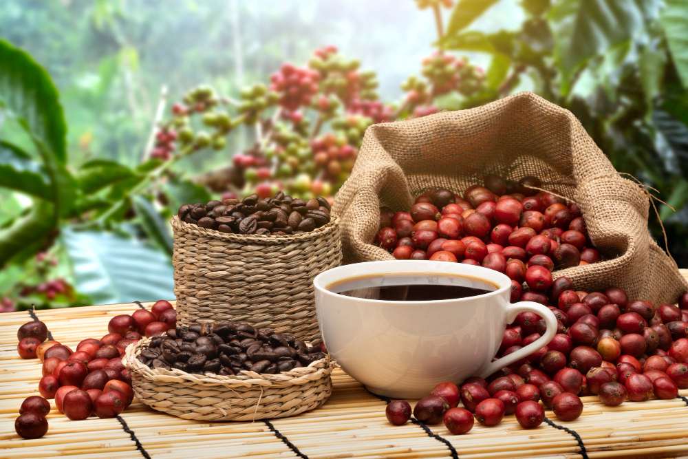 tasse de café et grains de café éparpillés