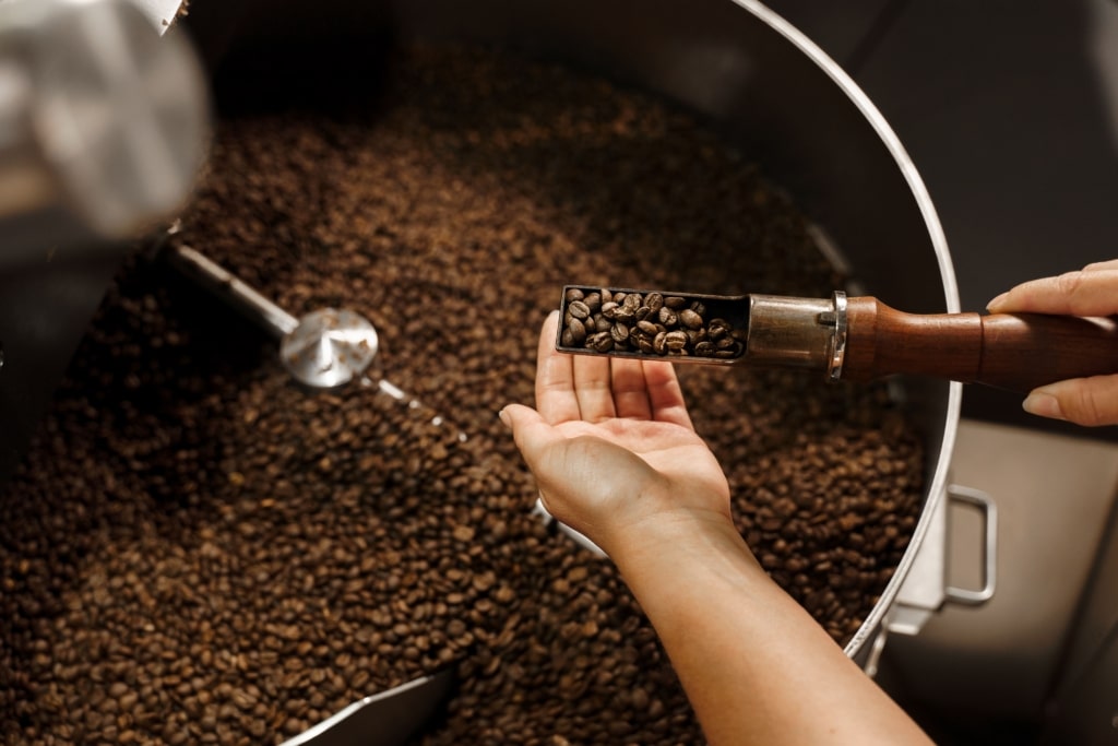 grains de café en train d'être torréfiés dans un tambour, avec une main qui prélève un échantillon à l'aide d'une cuillère à torréfacteur